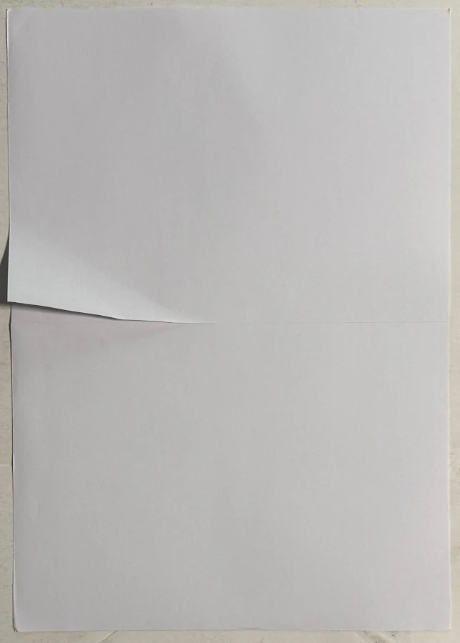A4 Size 50 Sheet Labels Self-adhesive For Inkjet / Laser Printer 100