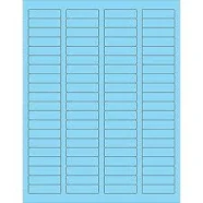 Daisy on the Ohoopee