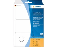 Daisy on the Ohoopee