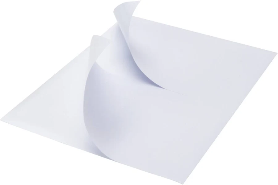 Shipping Labels 2 Per A4 Sheet For Laser And Inkjet Self Adhesive 8.5"