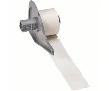 Daisy on the Ohoopee