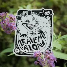 Leave Me Alone Possum Sticker - PVC Free Waterproof Vinyl - Punk Goth Funny Stic