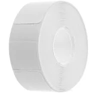 Daisy on the Ohoopee