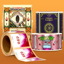 Daisy on the Ohoopee