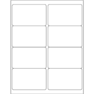 Daisy on the Ohoopee