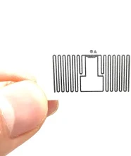 Daisy on the Ohoopee