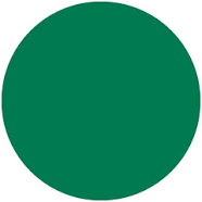 Daisy on the Ohoopee