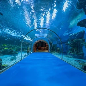 Комплексное решение Focusun MarinePark в коробке — готовое решение для морских аттракционов