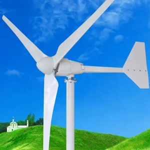 Профессионально настраиваемые ветрогенераторы 48V 96V 120V 220V 240V 2000W с высокой эффективностью выработки электроэнергии
