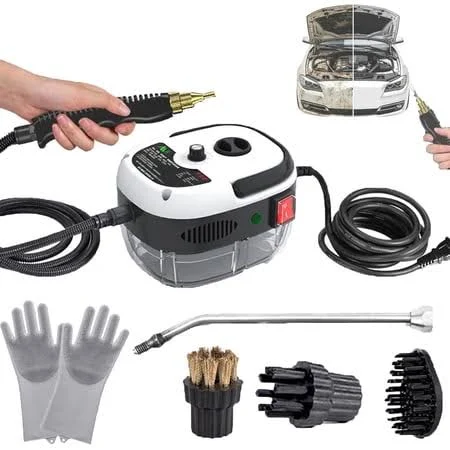 2500w Portable Handheld Steam Cleaner High Temperature Pressurized Steam Cleaning Machine with rush Heads