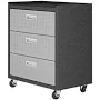 Ornate Home Manhattan Comfort Fortress Mobile Garage Chest