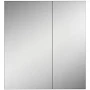 Latitude Run Number of Doors: Double Door Medicine Cabinet