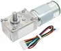 High Torque Gearmotor Self-Locking Worm Gear Motor w/ Encoder - 12V,