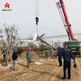 Wind Turbine System Energy 30kw 50kw 100kw 200kw 250kw 48V 96V 220V 380V Pitch Control High Output Wind Power with Three Blades Wind Turbine Generator
