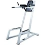 FTS Vertical Knee Raise Dip Station