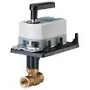 Siemens 171K-10304 1/2 NPT 2-Way Ball Valve Assembly