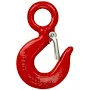 Hoist Hook Alloy Eye WLL 1t