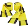 Franklin Forearm Lifting Straps