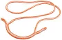 tRex Loopie Loop