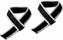 Athletic Works Weight Lifting Training Straps