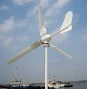 1000w 12v 24v Wind Turbine Horizontal Wind Power Generator With Mppt