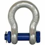 Anyload TBX-12.5t Alloy Steel Shackle