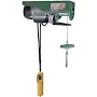 Buffalo Electric Hoist