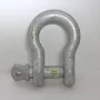 1.5" 30T Alloy Screw Pin Shackle - Rigging & Lifting Solution