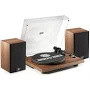 Angels Horn Bluetooth Turntable with Speakers