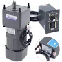 Adjustable Speed Motor
