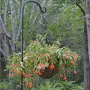 Large Single Hook Crane