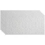 Fasade 2-ft Traditional 2 PVC Ceiling Tile