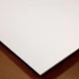 Genesis Smooth Pro Vinyl Lay In Ceiling Tile