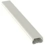 Panduit LDPH10IW10-A Pan-Way LDPH Surface Raceway