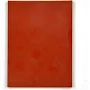 Daisy on the Ohoopee