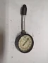 Daisy on the Ohoopee