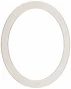 Sartorius Reusable Sterility Testing System: Silicone Gasket